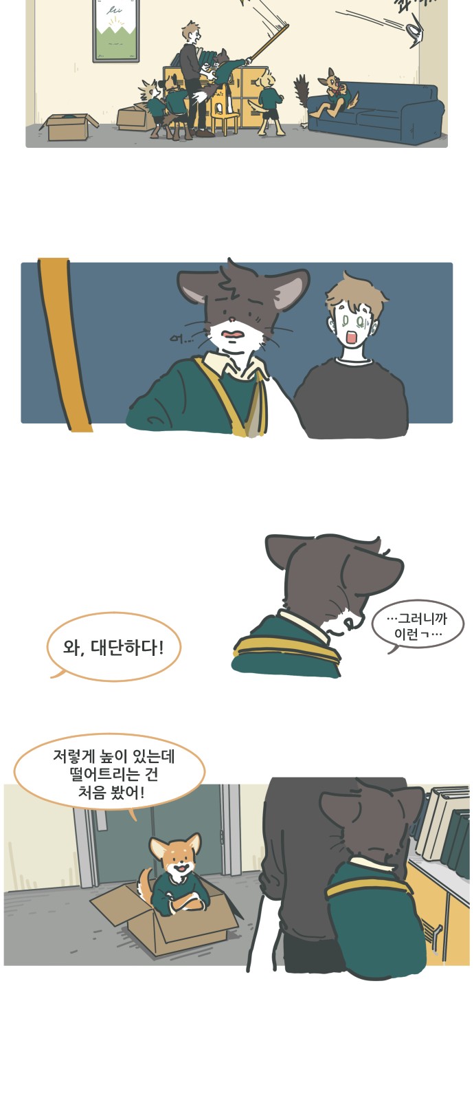 18 페이지