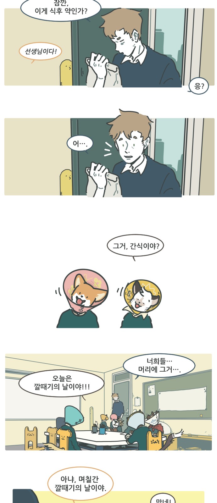 15 페이지