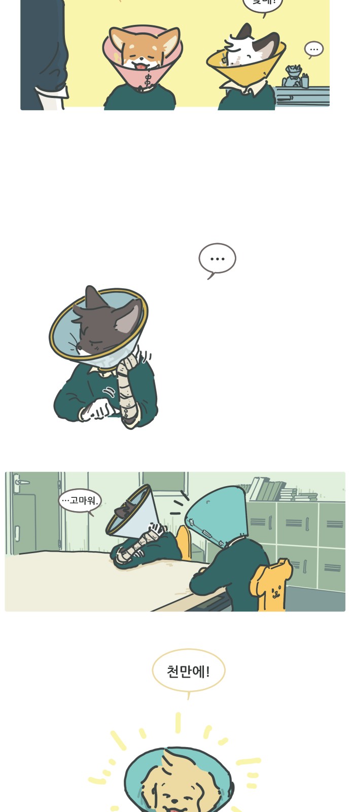 16 페이지