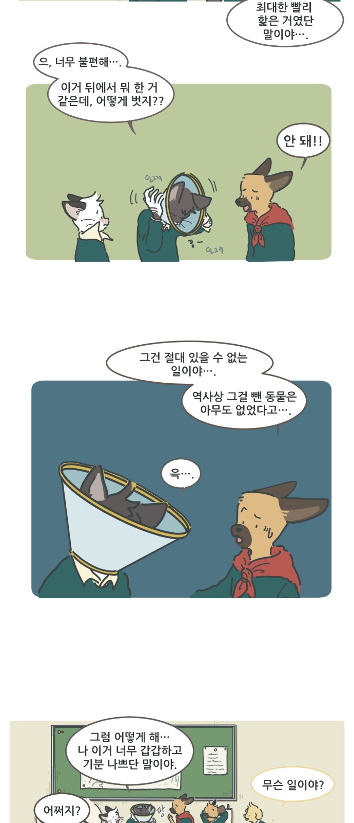 5 페이지