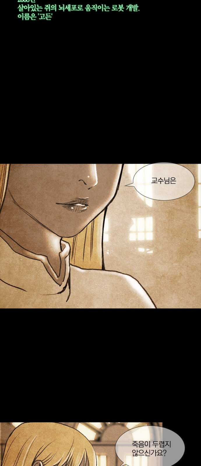 38 페이지