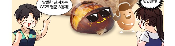 15 페이지