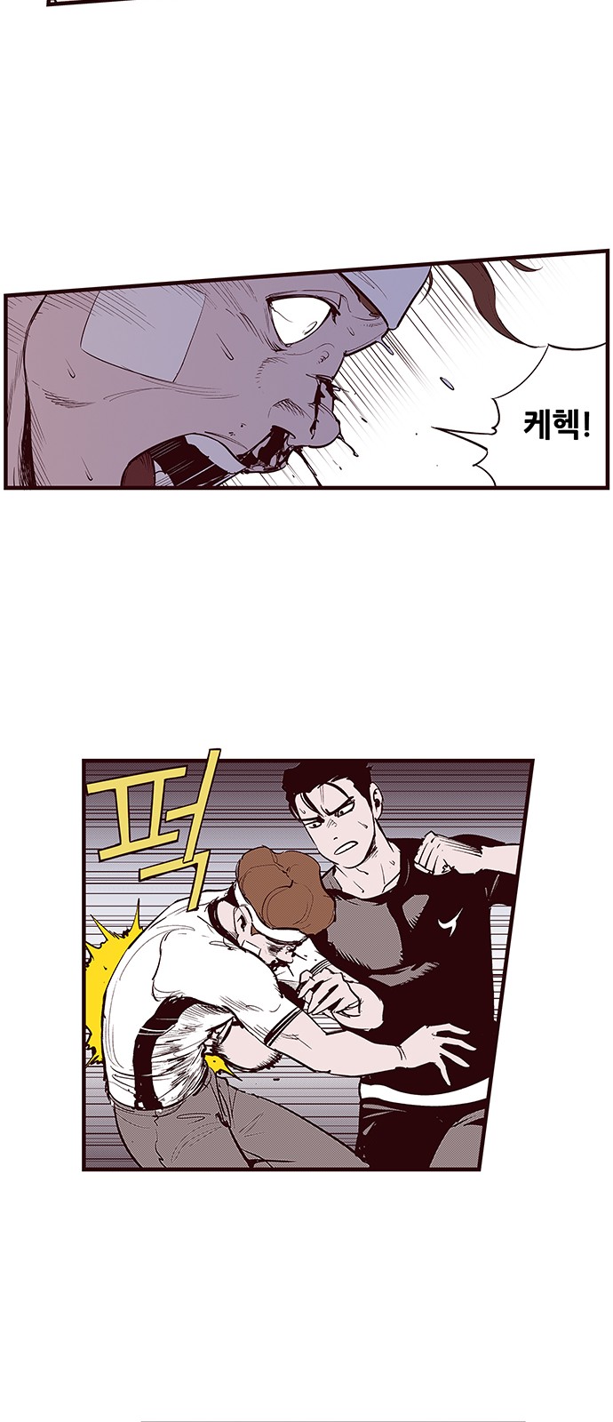 17 페이지