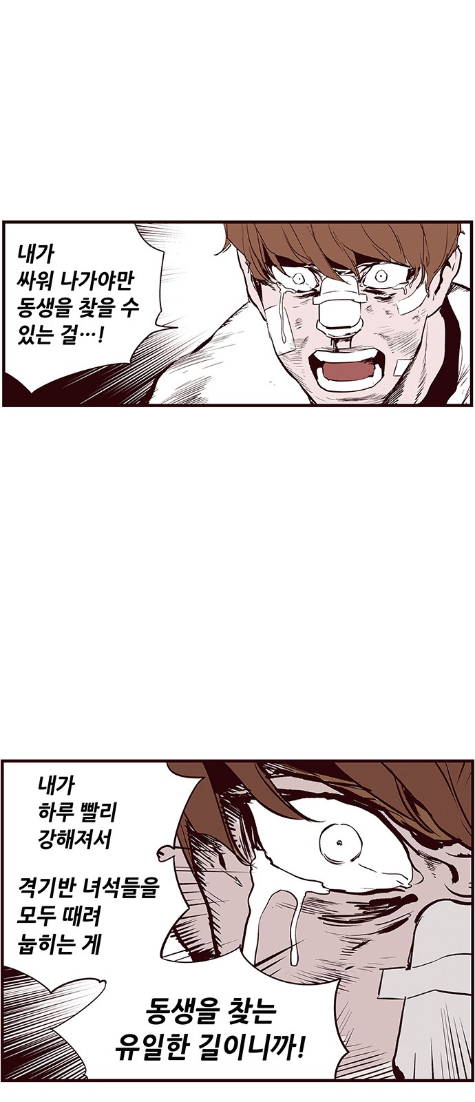 41 페이지