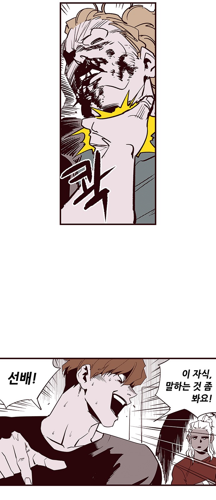 17 페이지