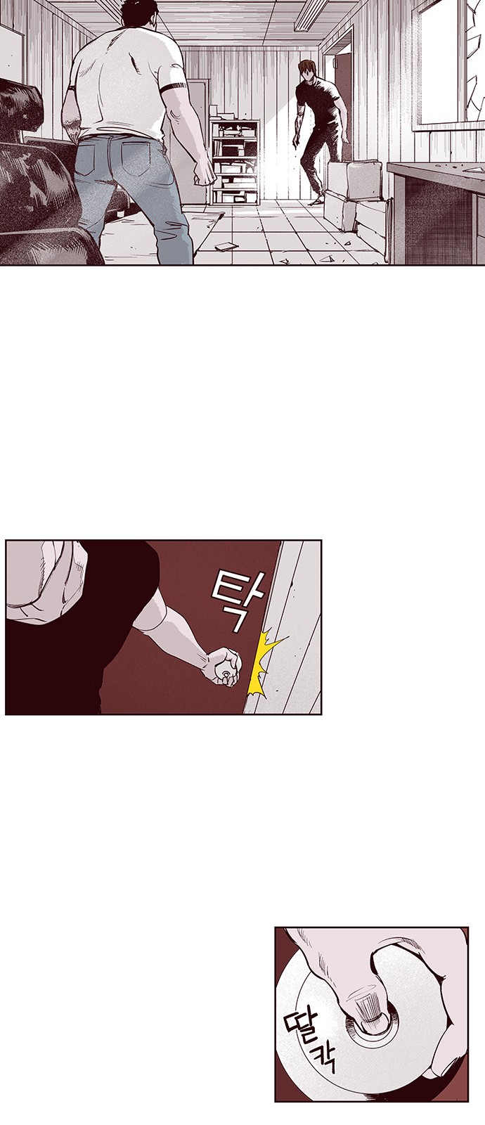19 페이지