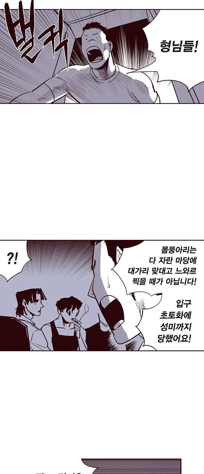 33 페이지