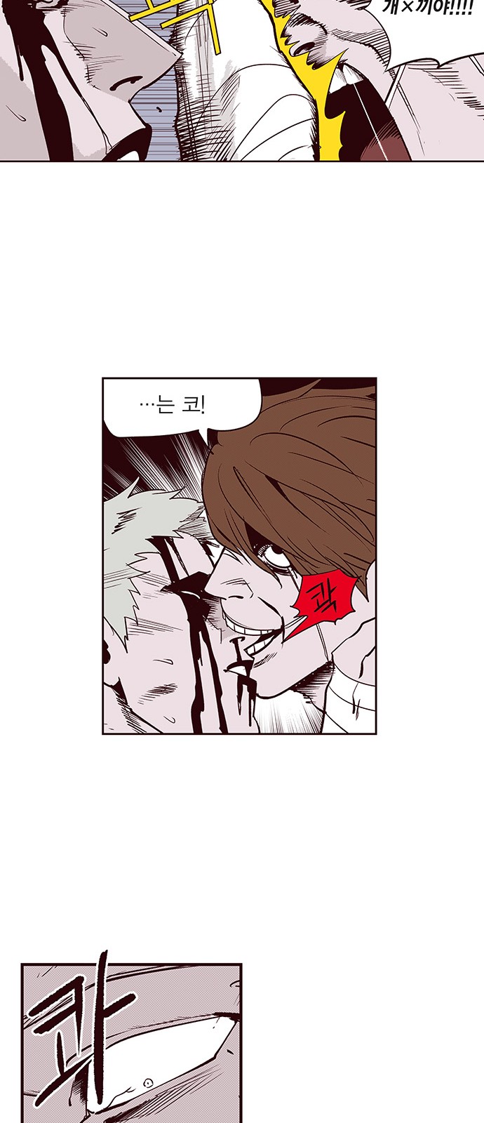 15 페이지