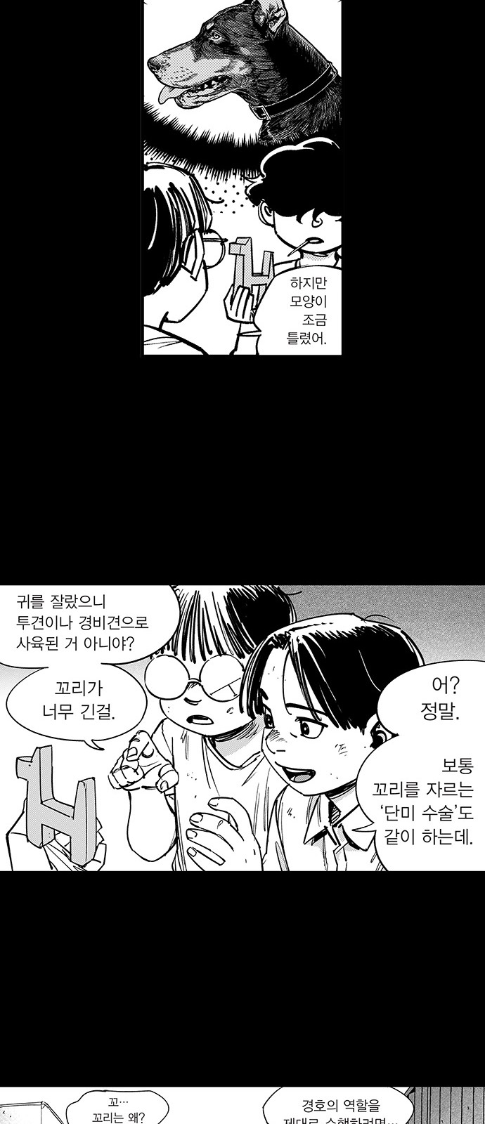 25 페이지