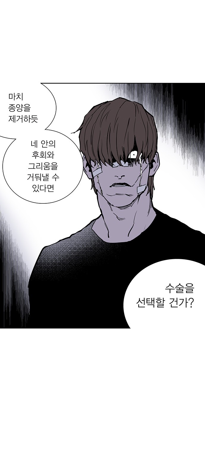20 페이지