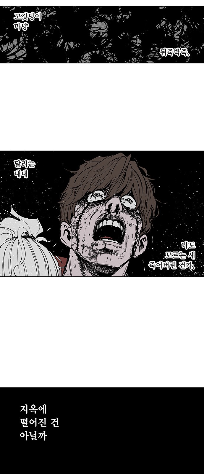 13 페이지