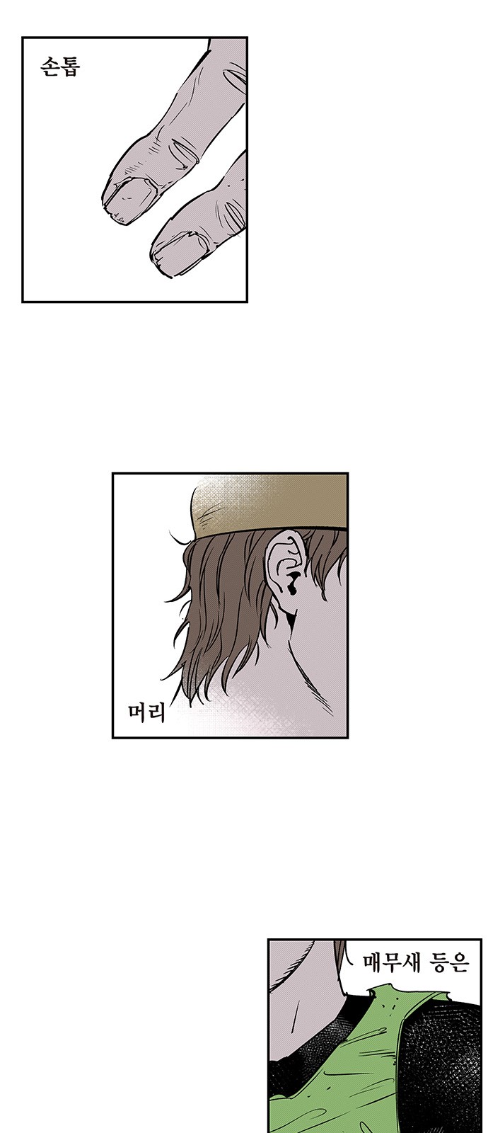 31 페이지
