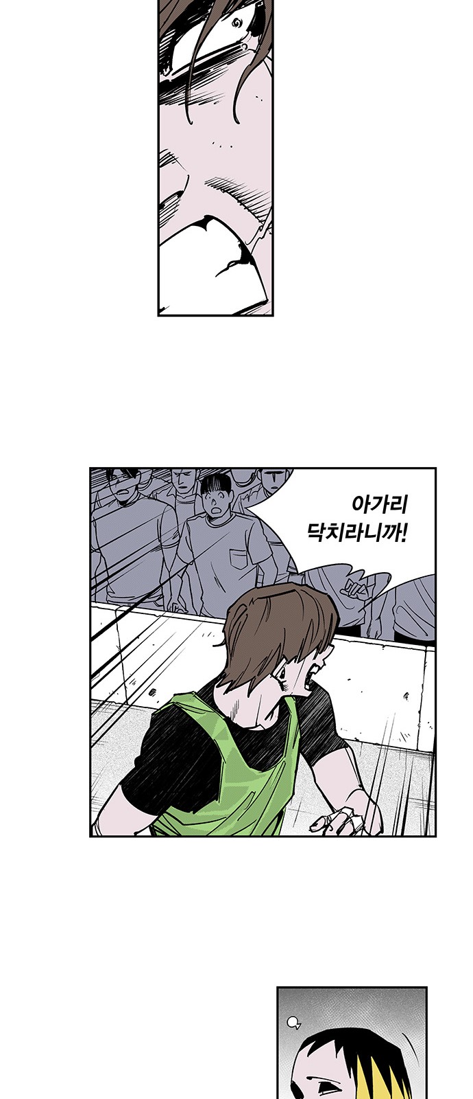 15 페이지