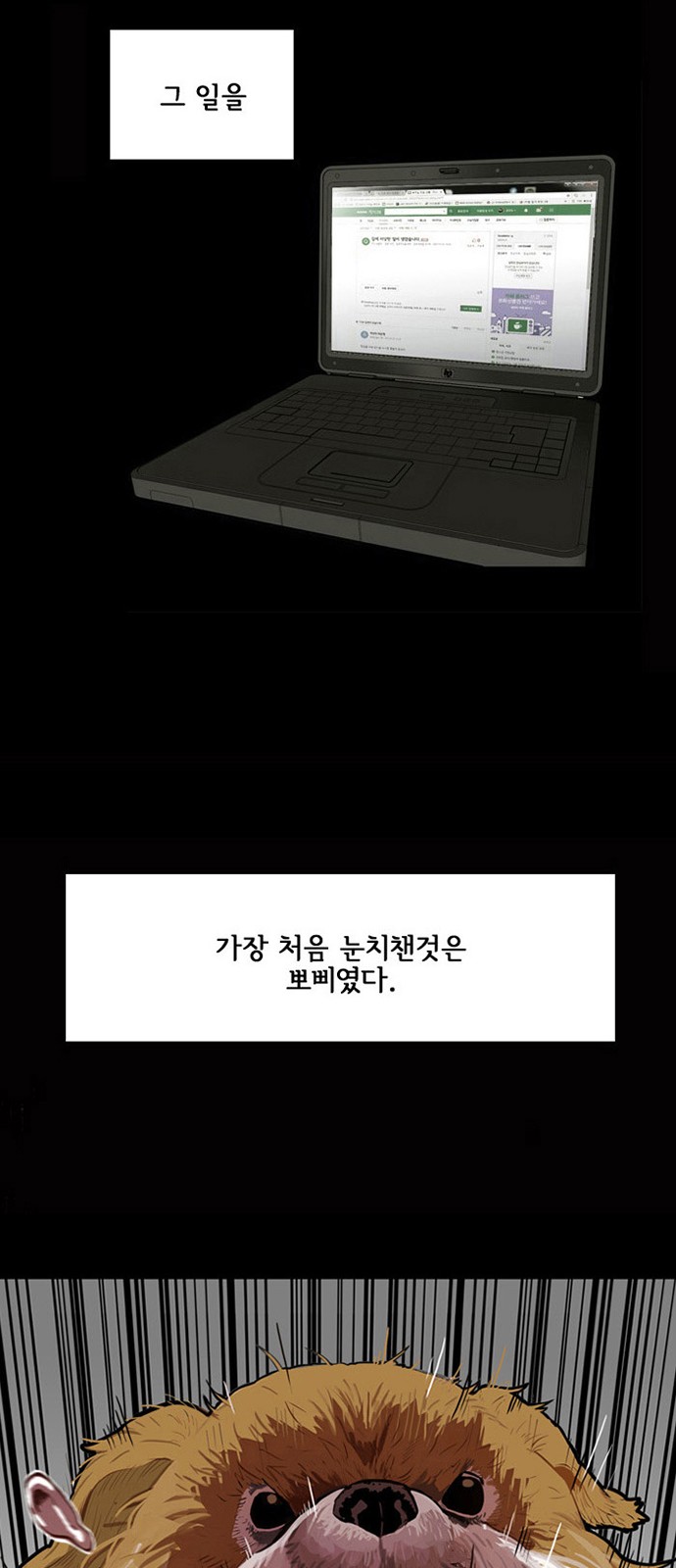 3 페이지