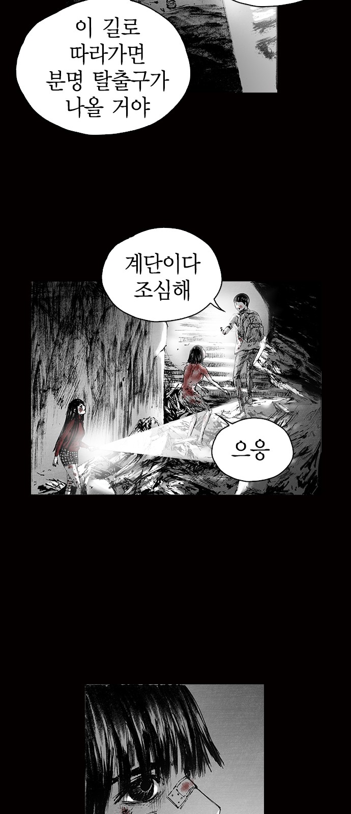 223 페이지
