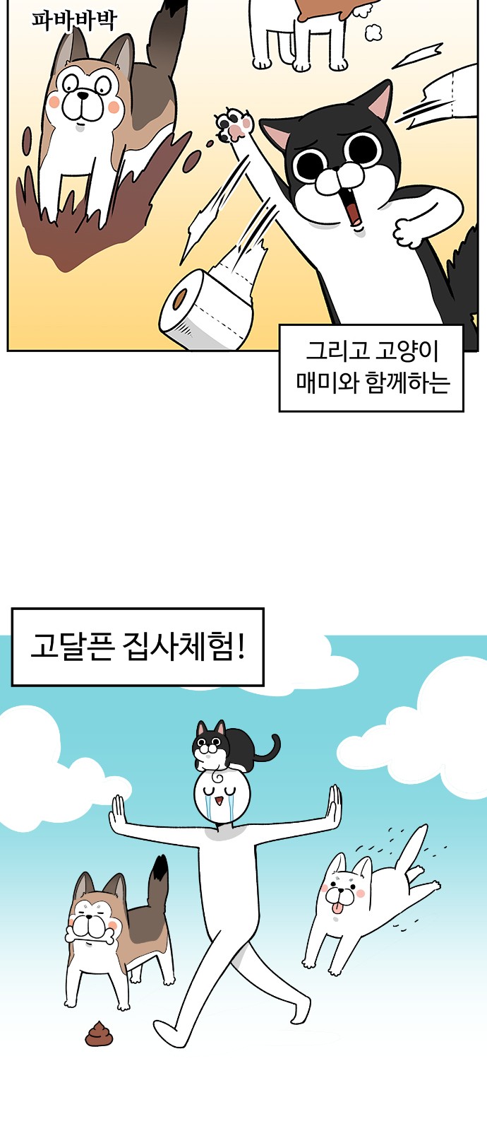 16 페이지