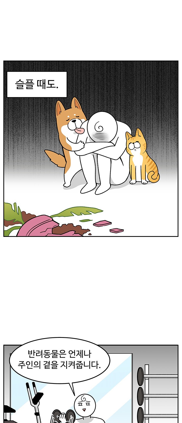 5 페이지