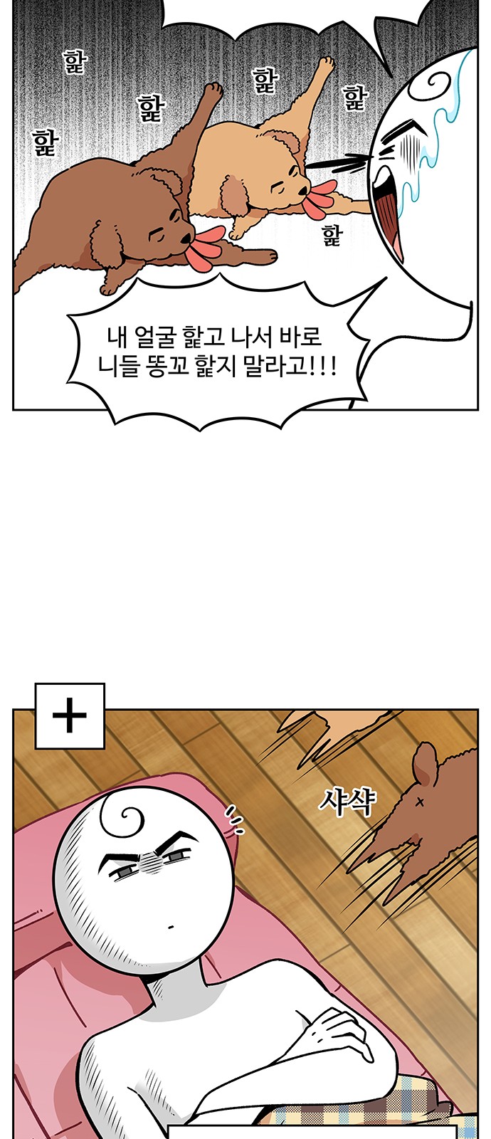 13 페이지