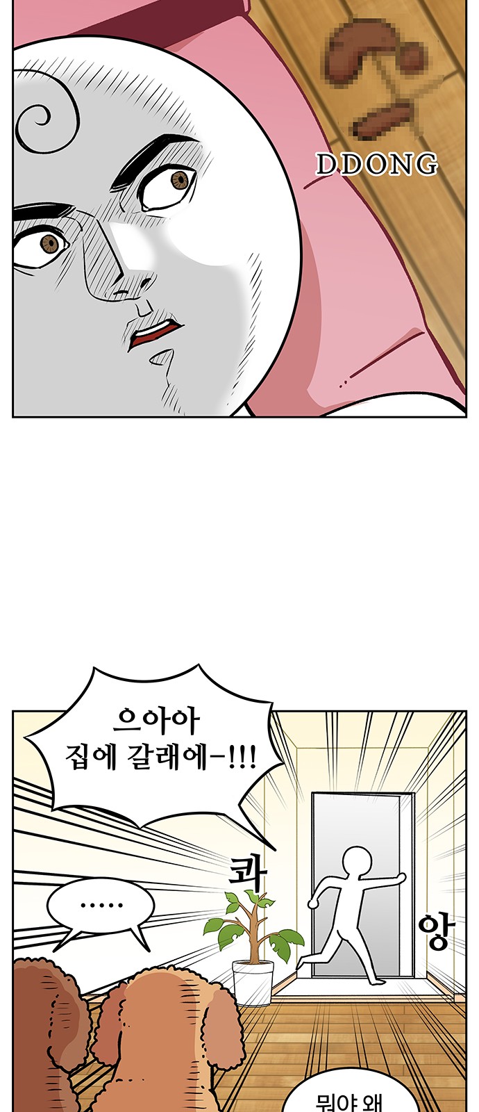 15 페이지