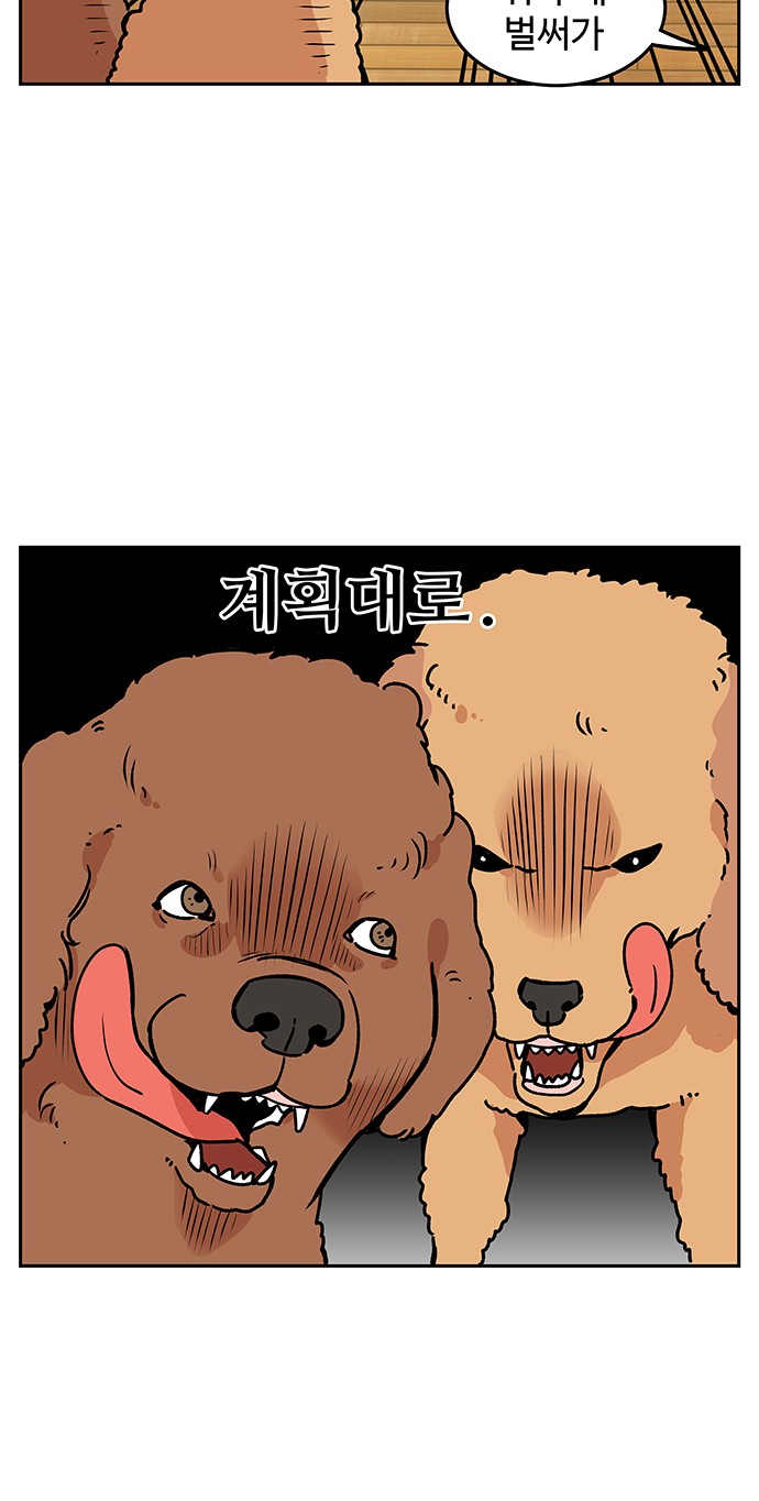 16 페이지