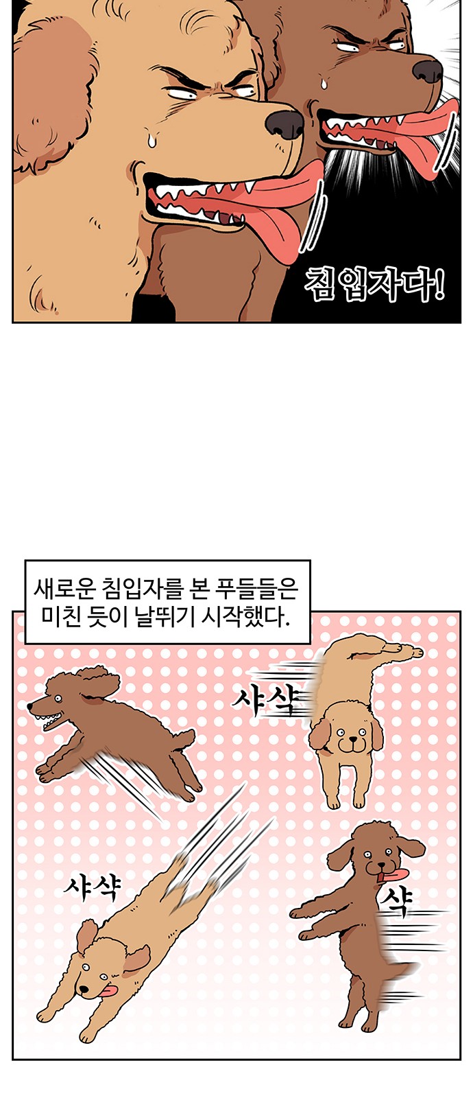 5 페이지