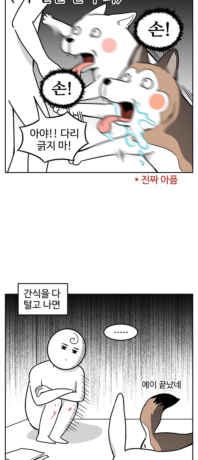 15 페이지