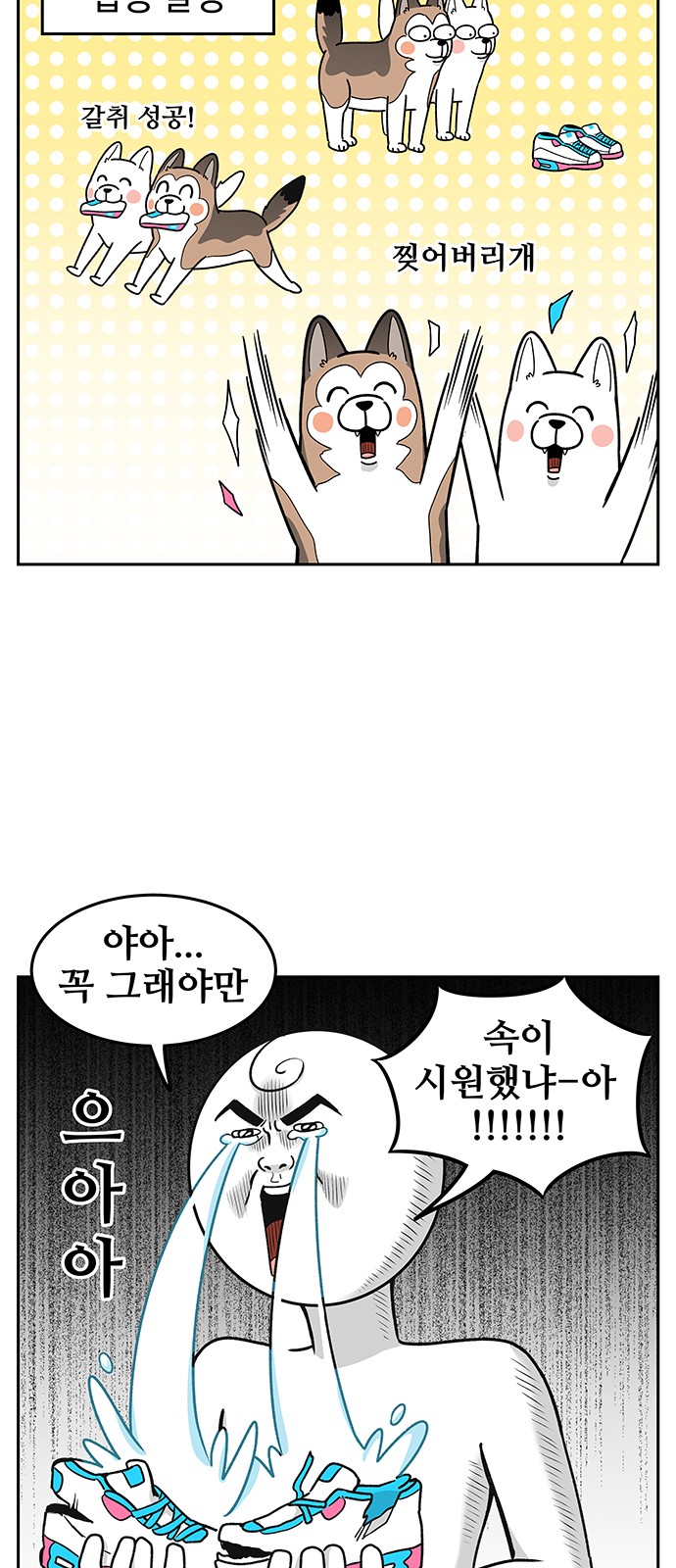 13 페이지
