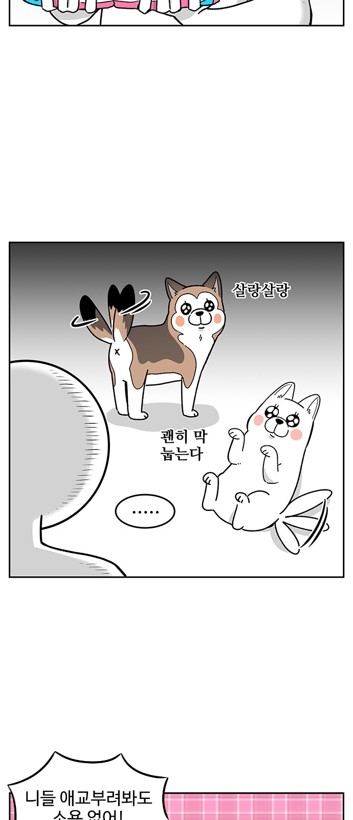 14 페이지