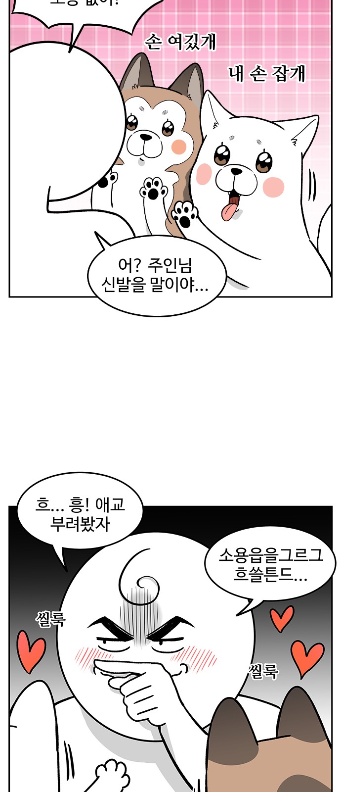 15 페이지