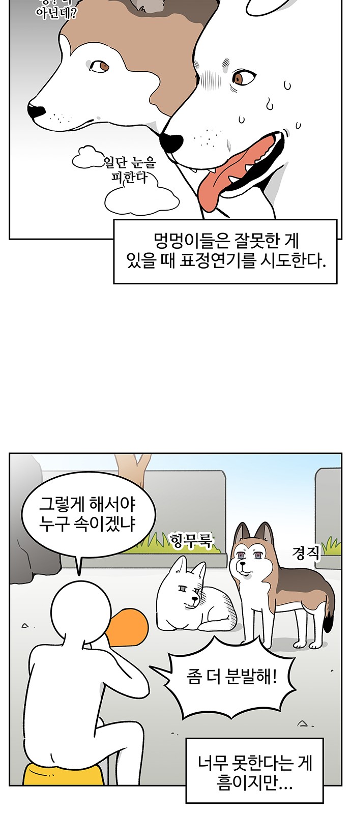 5 페이지