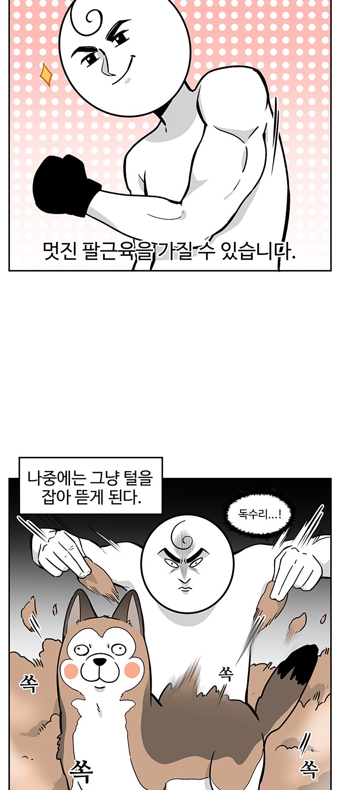 11 페이지