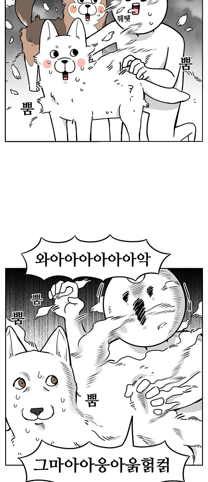 5 페이지