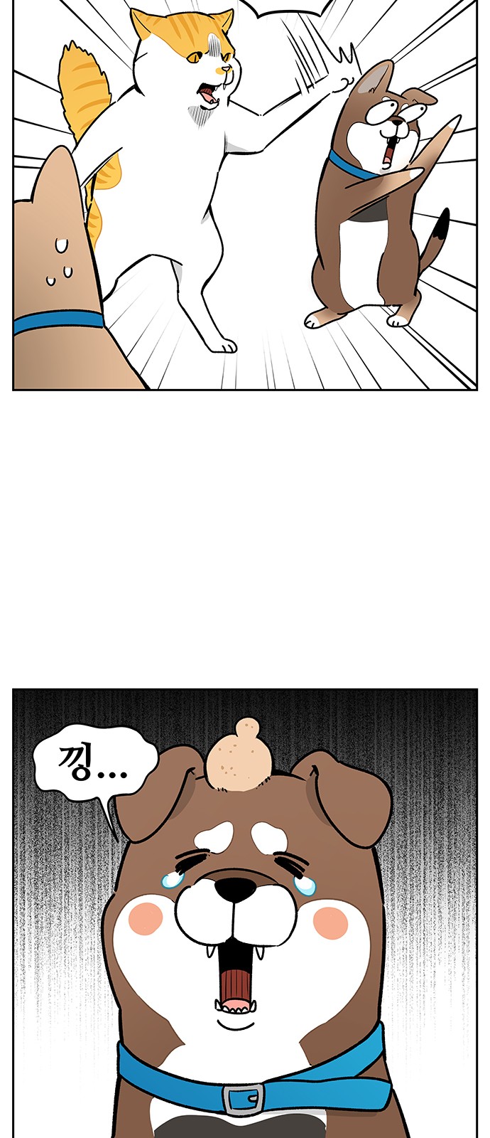 11 페이지