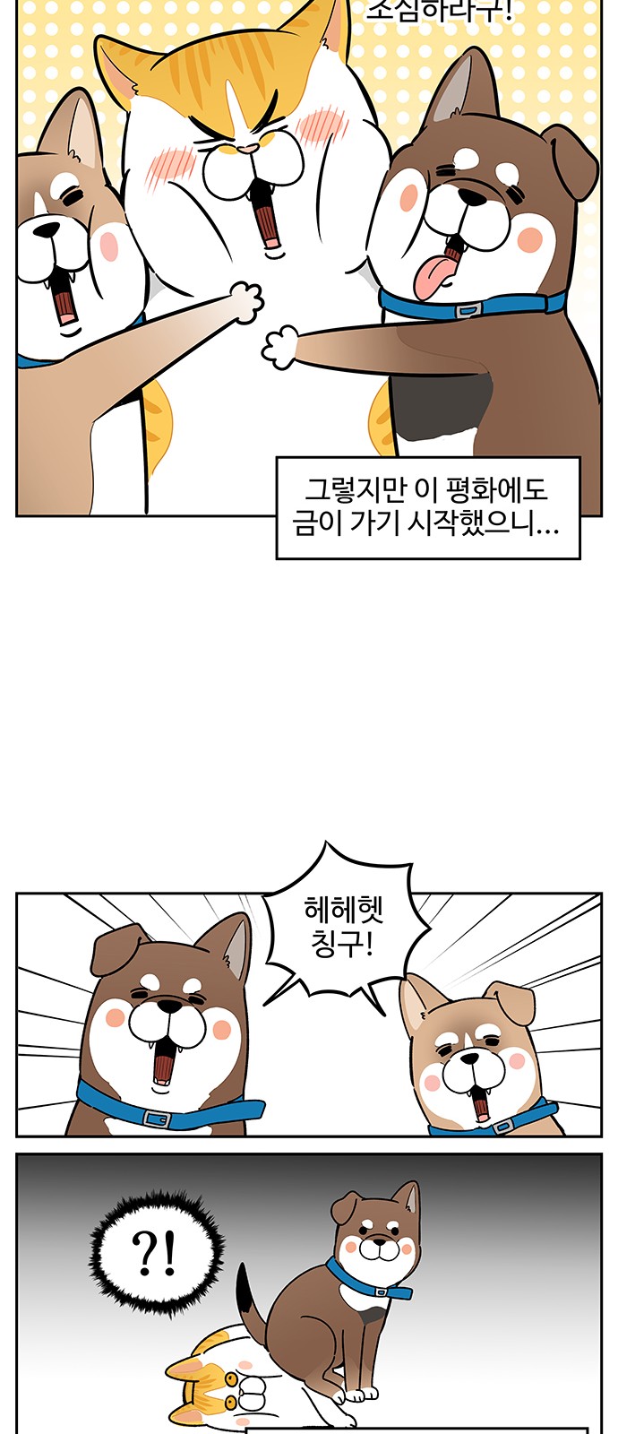 13 페이지