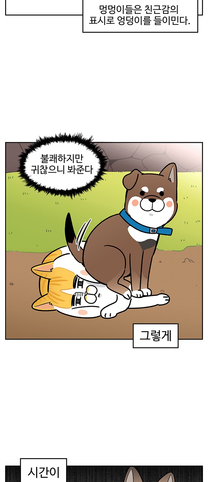 14 페이지