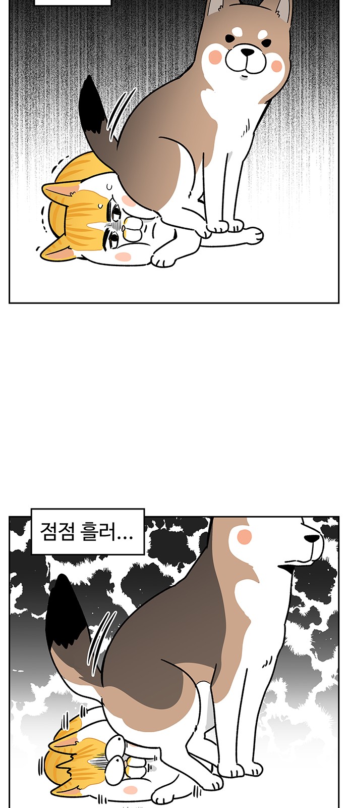 15 페이지