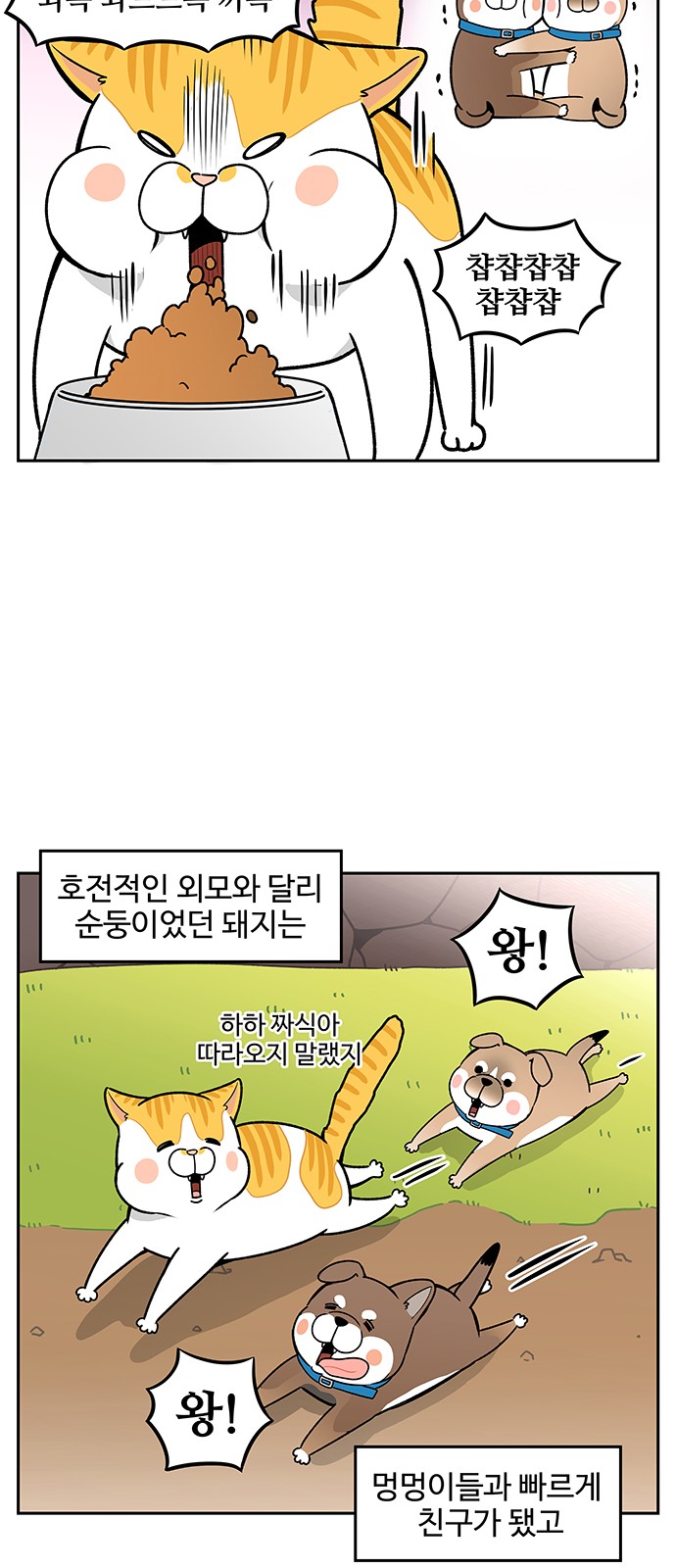 5 페이지