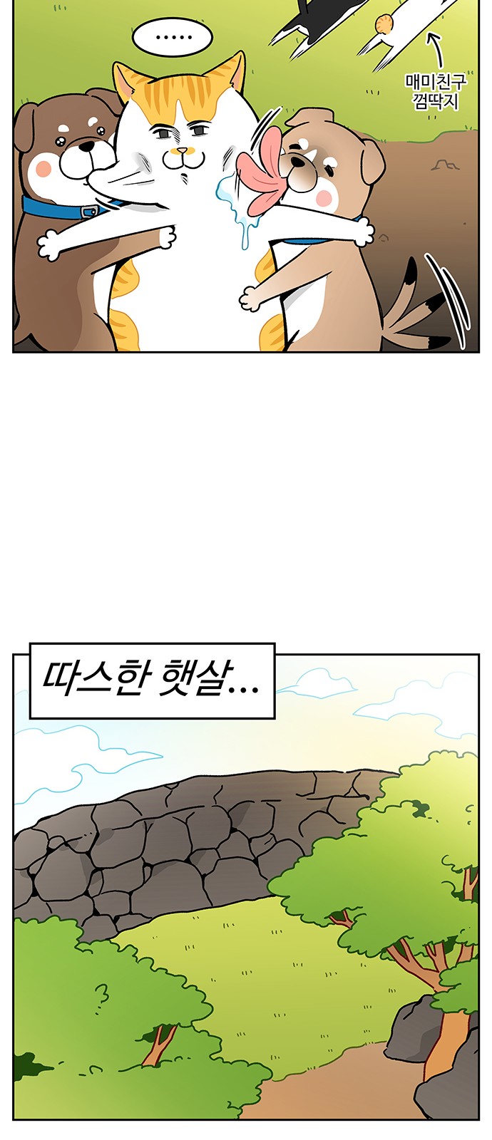 7 페이지