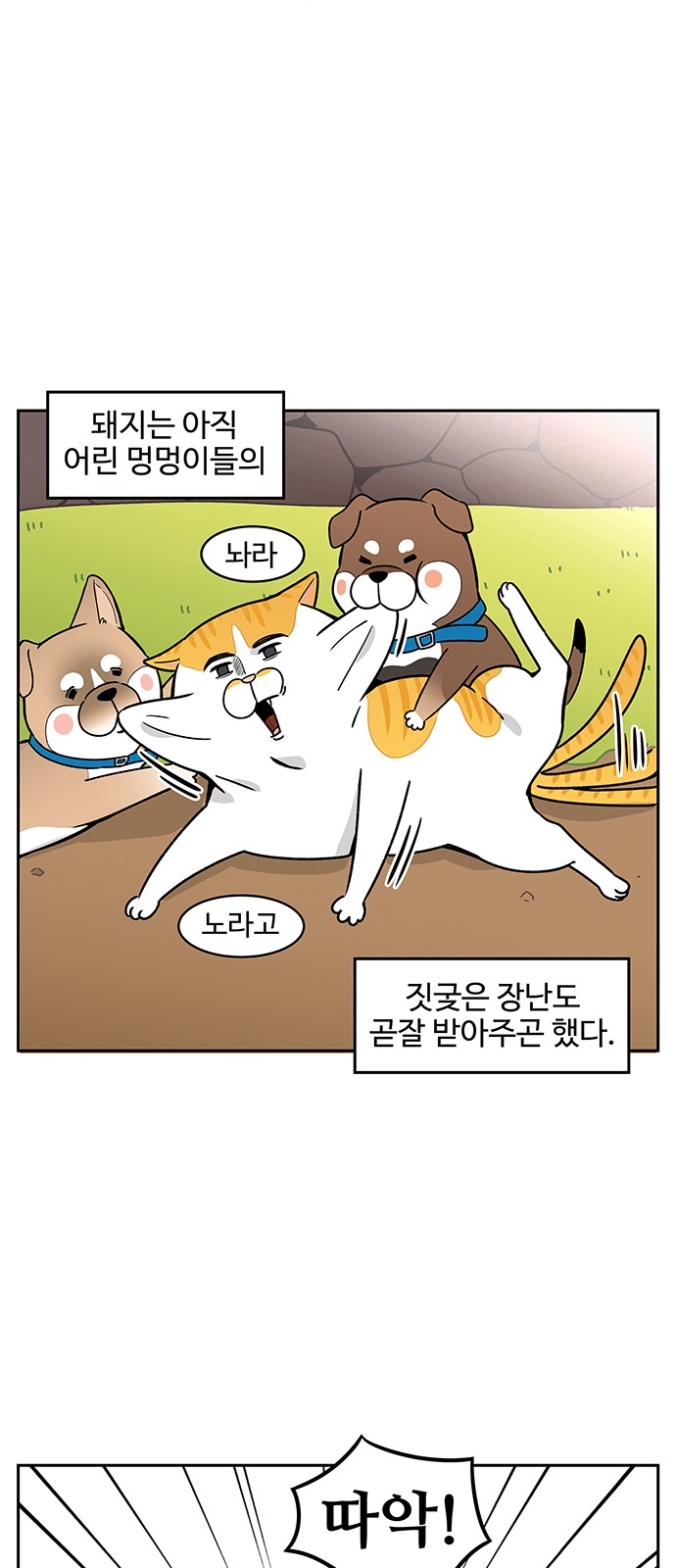 10 페이지