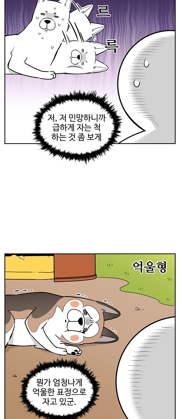 11 페이지