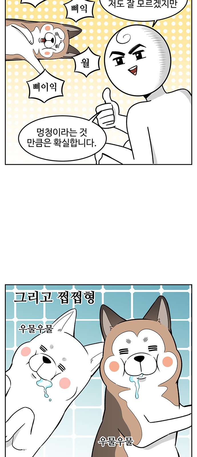 13 페이지