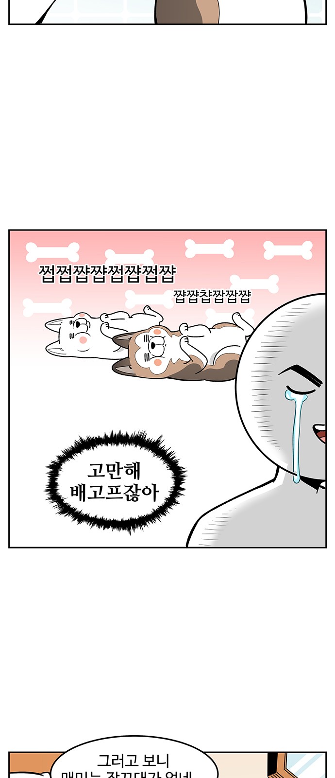 14 페이지