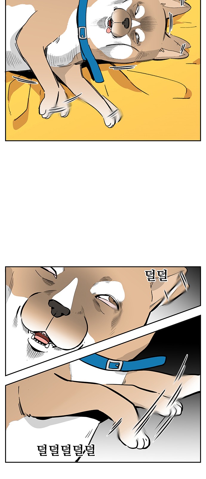 5 페이지
