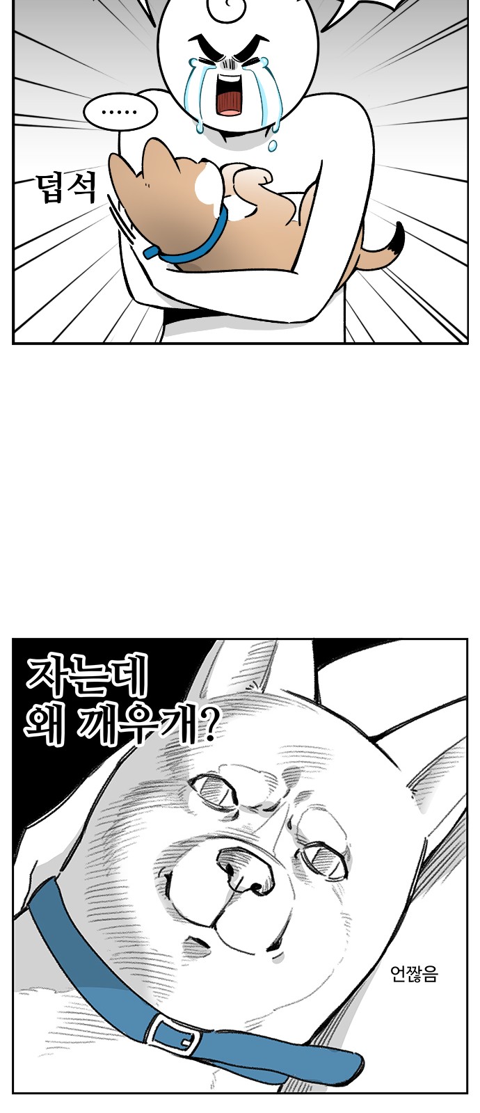 7 페이지