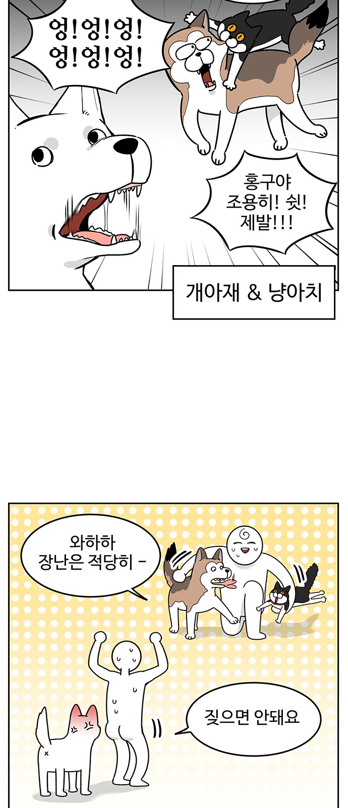 13 페이지