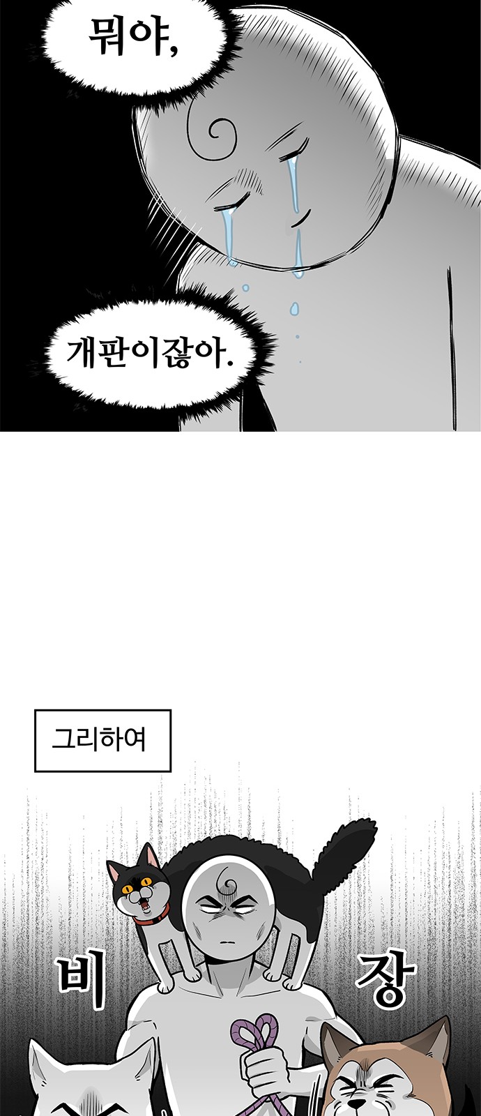 15 페이지