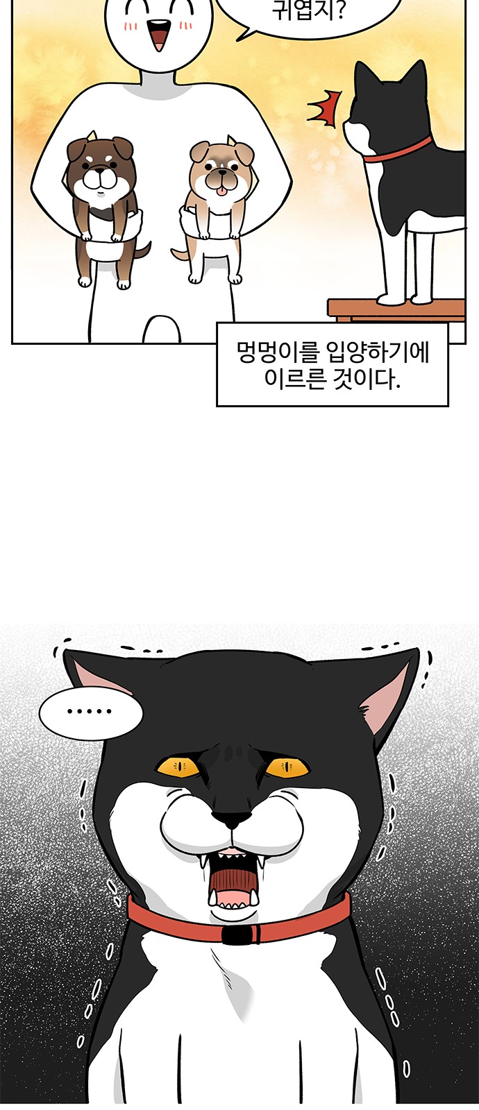 7 페이지