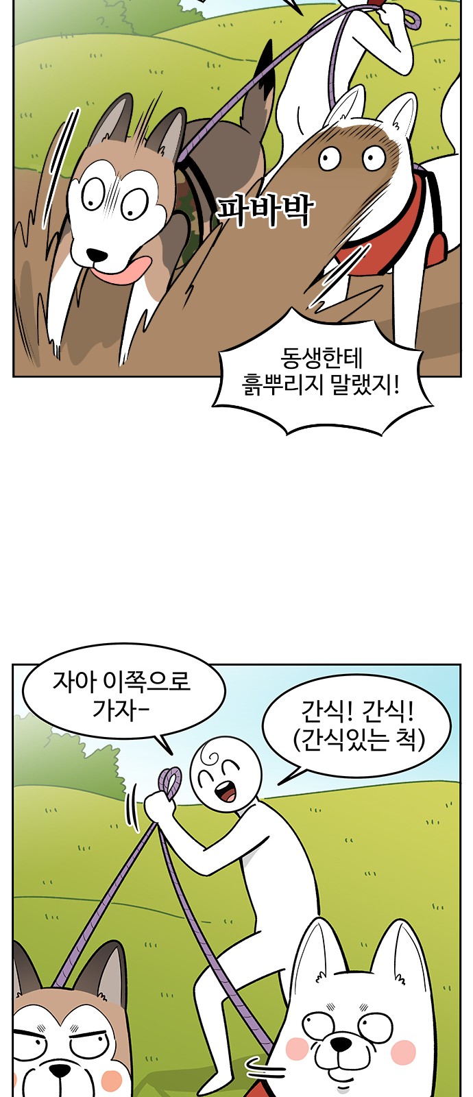 11 페이지