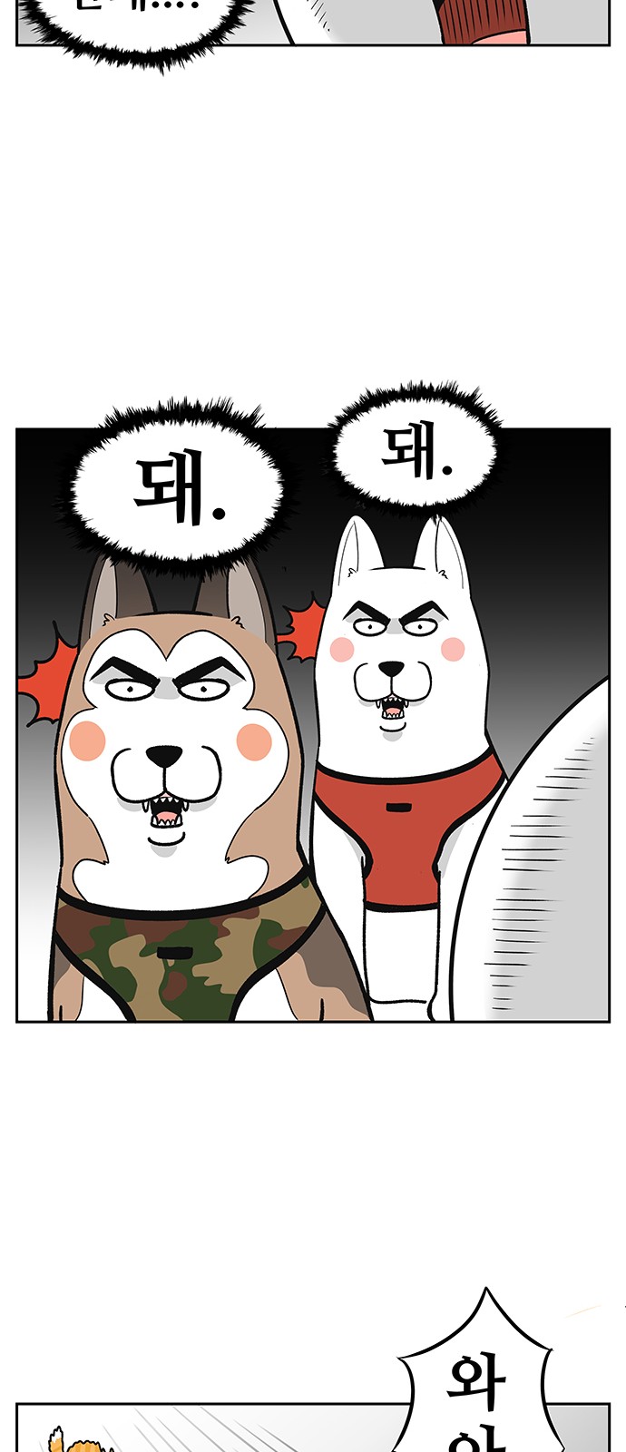 14 페이지