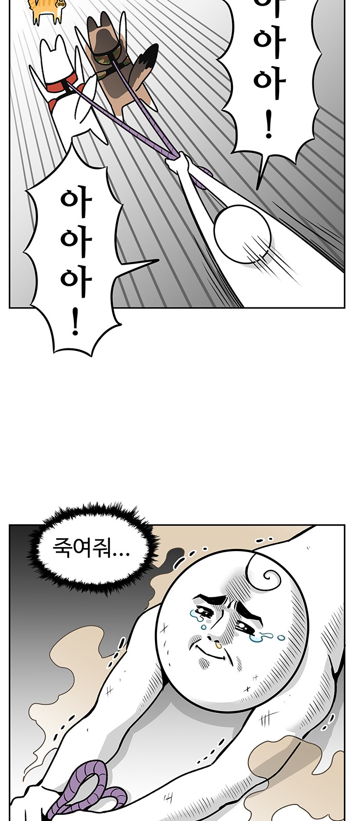 15 페이지